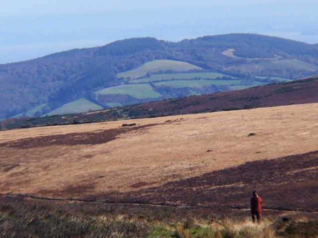 Exmoor may be a small moor but it doesn't feel that when you are the tops. Marcia is almost lost in the foreground.