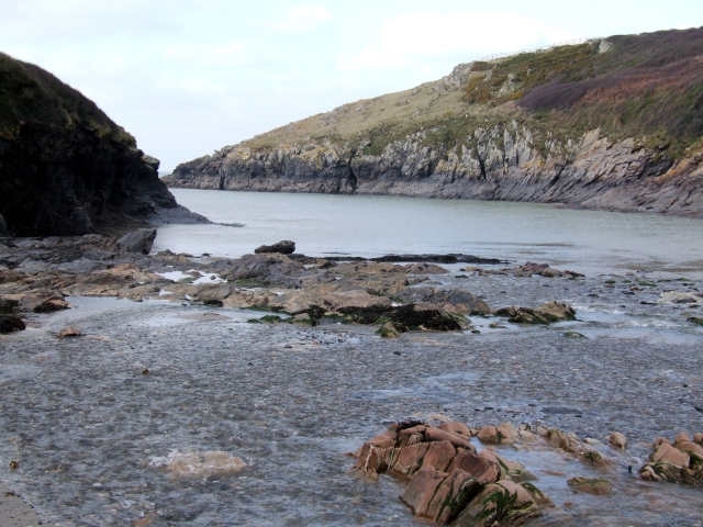 Port Quin has a tidal range of some 6 metres or about 20 feet. You can see the high tide level on the cliff to the right: aboe high tide the rocks are covered in lichens but below they are black.